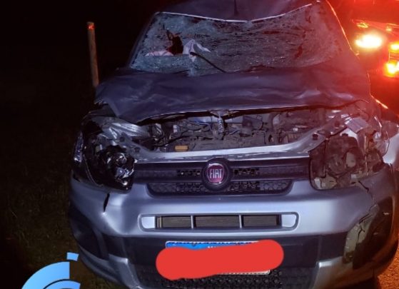 PRE atende acidente na PR 151 tipo choque contra animal