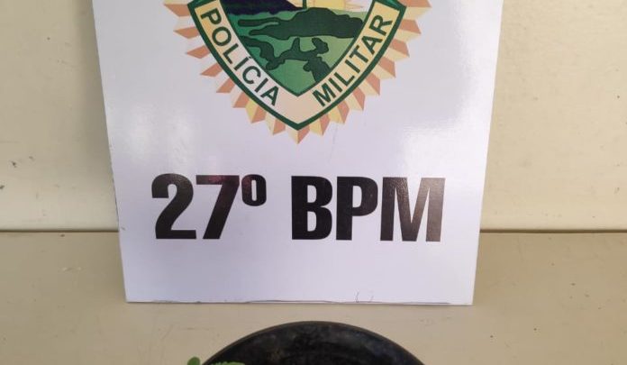 Rapaz é detido com três pés de maconha plantados em vaso