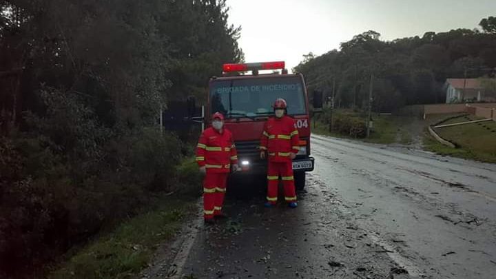 Brigada Independente Voluntaria de Paulo Frontin realiza trabalho de desobstrução da Rodovia BR 153 após temporal