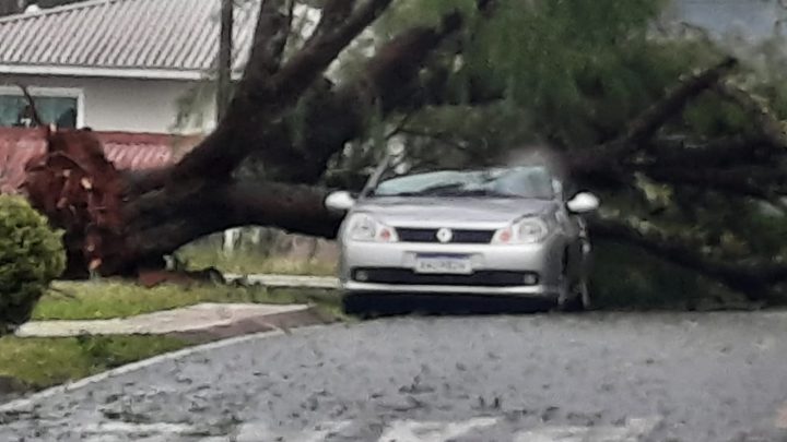 Temporal causa estragos em São Mateus do Sul