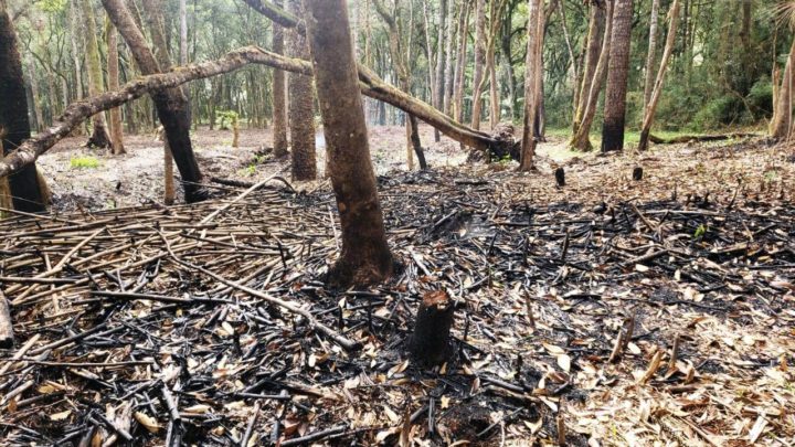 Em Teixeira Soares Policiais Militares aplicam multa de 67 Mil Reais