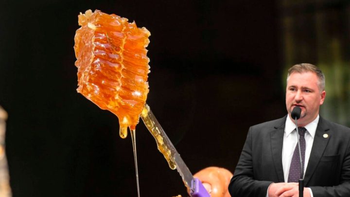 Paraná alcança liderança do Brasil na produção de mel