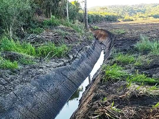 Policiais ambientais constataram destruição de vegetação na localidade de Espigãozinho
