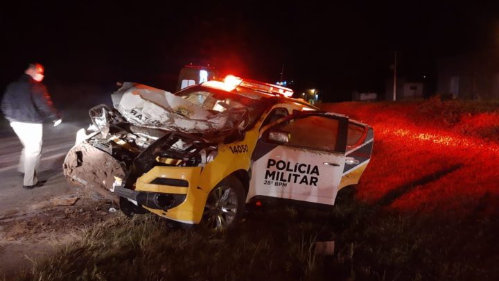 Animal na pista quase causa tragédia na BR 476 envolvendo viatura Policial