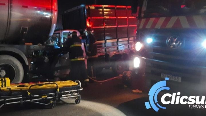 Animais soltos na pista causam engavetamento na br-476