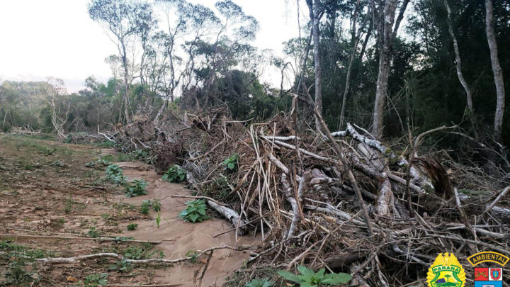 INFRATOR É AUTUADO EM QUASE 190 MIL REAIS EM PALMEIRA