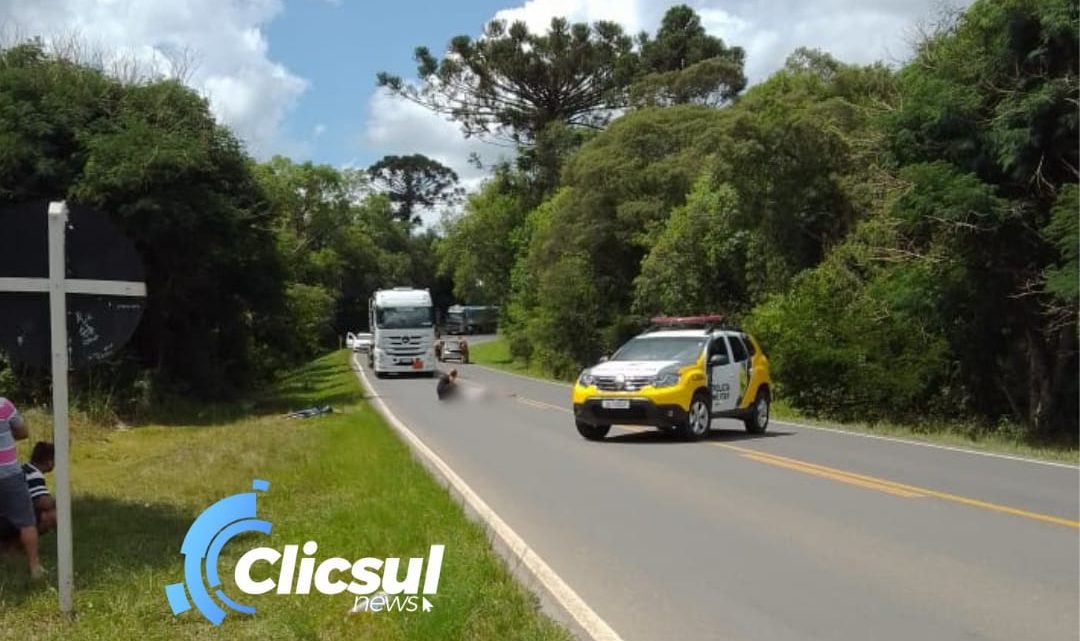 PRE e Bombeiros atendem atropelamento na PR 151