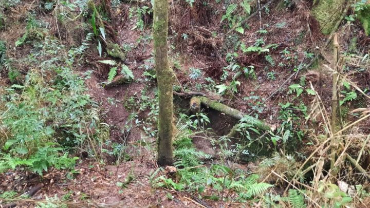 (Urgente) Corpo é encontrado na regiao de Fluviópolis